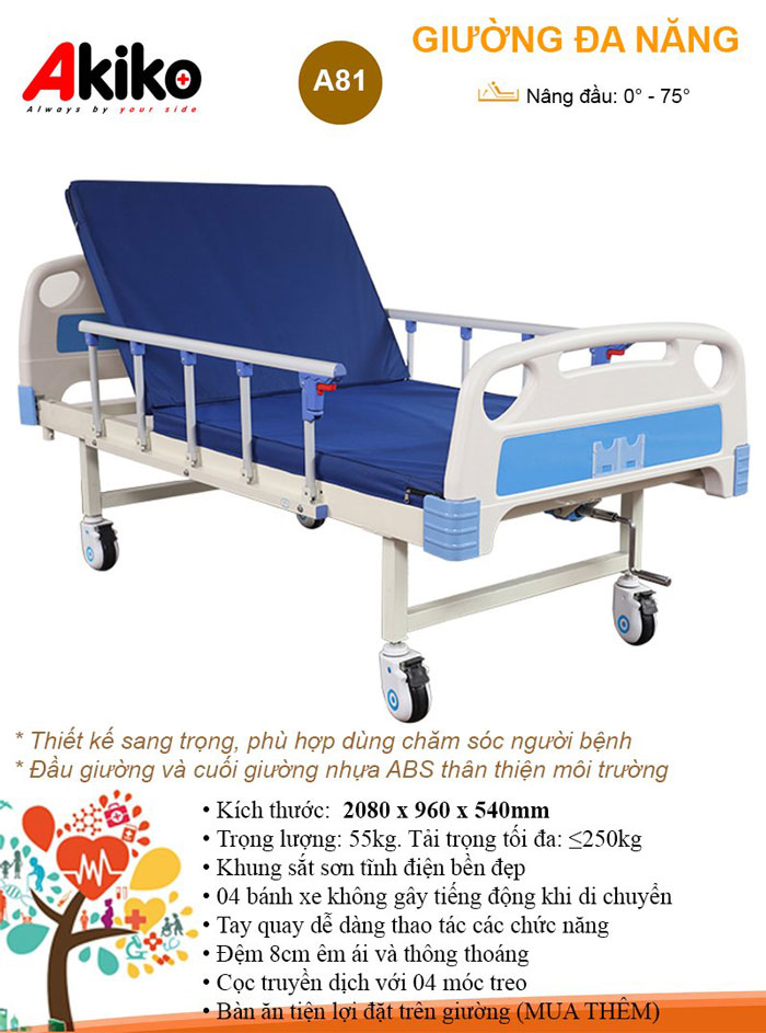 Giường Bệnh Nhân 1 Tay Quay AKIKO A81